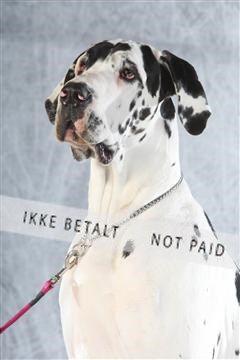 129608_le_ 02_0309.JPG