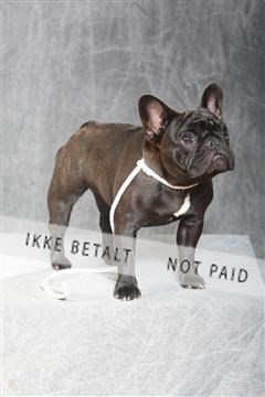 130054_le_ 01_0211.JPG