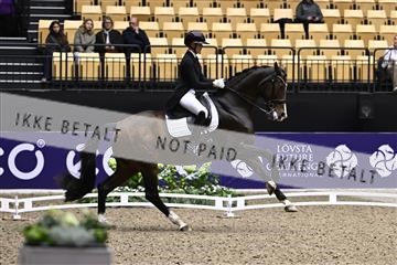 182194_kbb_03_Z099753.JPG
