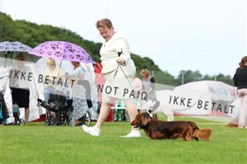 181564_rin_02_R62_1378.JPG