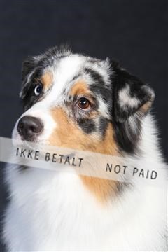 132082_le_ 01_IMG_0260.JPG