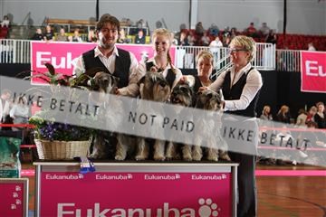 6068_ma_05_IMG_5569.JPG