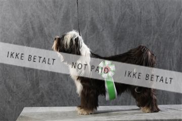 128239_le_kort_ 01_0082.JPG