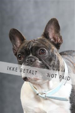 130054_le_ 01_0086.JPG