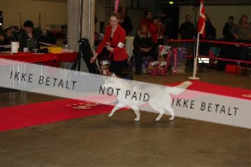 133496_ms_01_IMG_9175.JPG
