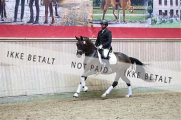 181887_mtp_05_R62_9490.JPG