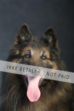 132082_le_ 01_IMG_0965.JPG