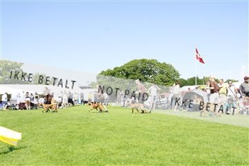 181564_kar_01__62_7738.JPG
