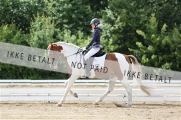 156196_nn_01_IMG_6281.JPG