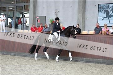 181852_mtp_05_R62_3117.JPG