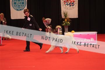 126827_tl_04_IMG_0012.JPG