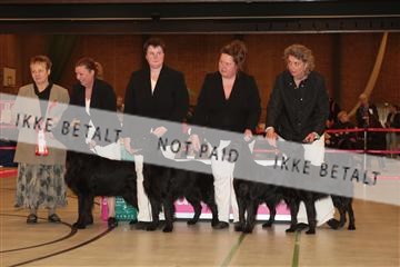 124188 _tl_02_IMG_9283.JPG