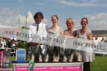 130370_se_03_IMG_7629.JPG
