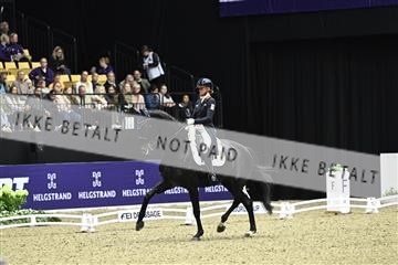 182194_kbb_03_Z092639.JPG