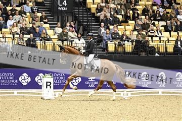 182194_kbb_03_Z090908.JPG