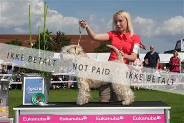 130370_se_03_IMG_7717.JPG