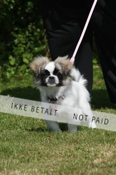 130370_se_02_IMG_6039.JPG