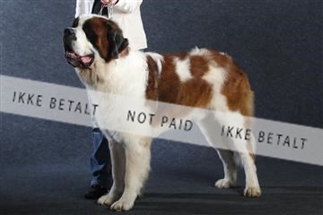 132082_le_ 01_IMG_0747.JPG