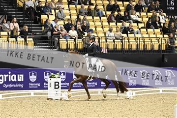 182194_kbb_03_Z090914.JPG