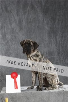 130054_le_ 03_0155.JPG