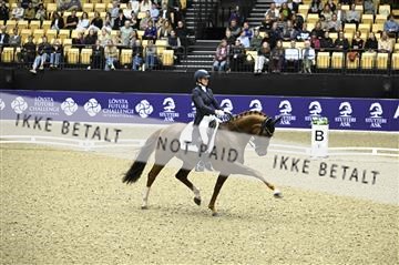 182194_kbb_02_Z099176.JPG