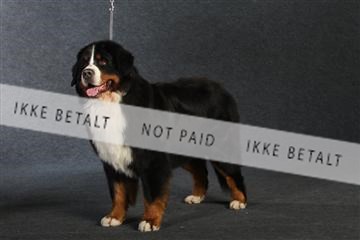 132082_le_ 01_IMG_0868.JPG