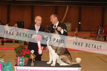 124188 _tl_02_IMG_9739.JPG