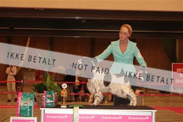 124188 _tl_02_IMG_9728.JPG