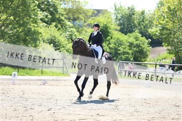 168732_mtp_01_3M5A7145.JPG