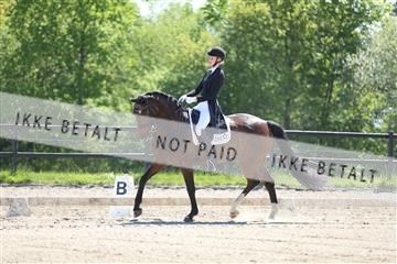 168732_mtp_01_3M5A6993.JPG