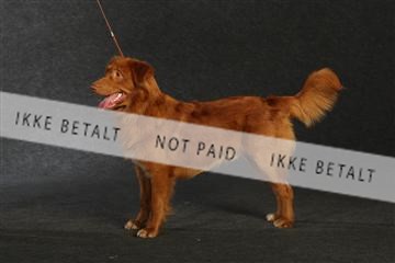 132082_le_ 01_IMG_0889.JPG