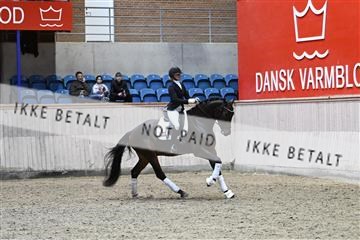 182241_kbb_01_Z093875.JPG