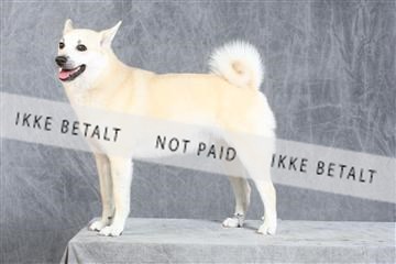 130054_le_ 03_0385.JPG