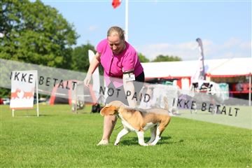 181564_rin_01_R62_0574.JPG