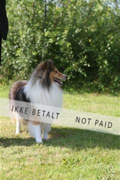 130370_se_03_IMG_7938.JPG