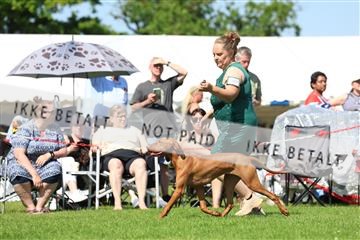 181564_rin_02_R62_3279.JPG