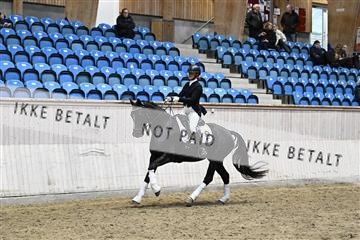 182241_kbb_01_Z093793.JPG