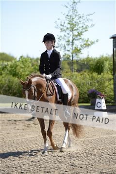 139815_ms_01__MS27078.JPG