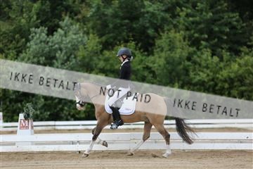 156196_nn_01_IMG_6144.JPG