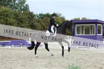181923_mtp_01_R62_6870.JPG