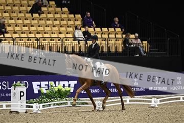 182194_kbb_03_Z090698.JPG