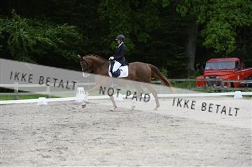 139898_ms_01__MS28210.JPG