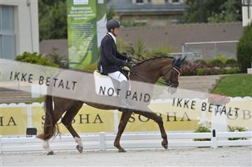 144462_bc_15__BC14446.JPG