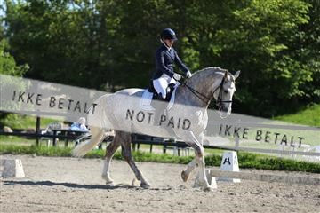 168732_mtp_01_3M5A8414.JPG