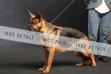 132082_le_ 01_IMG_0917.JPG