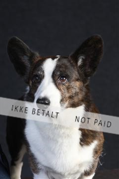 132082_le_ 01_IMG_0603.JPG