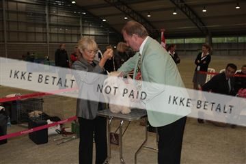 126168_se_02_IMG_0644.JPG