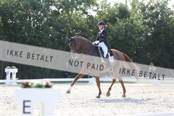 163526_mlm_02_IMG_2774.JPG