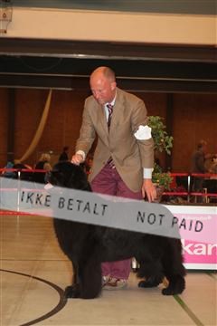 124188 _tl_02_IMG_9594.JPG