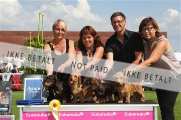 130370_se_03_IMG_7635.JPG